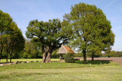 Fleringen, Kroezeboom